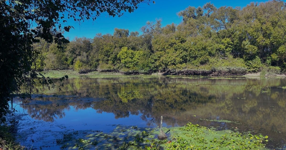 The People of Our Mission