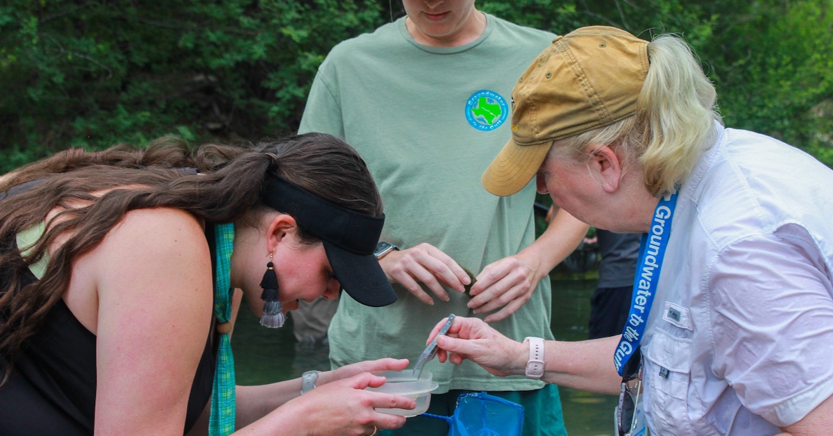 Coming this summer: Groundwater to the Gulf